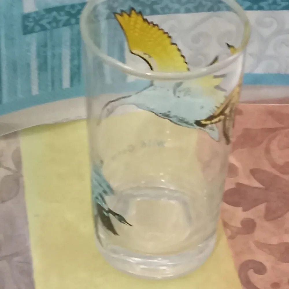 Wild Geese Series Drink Tumbler 12 oz Glass Blue Black Yellow Fowl